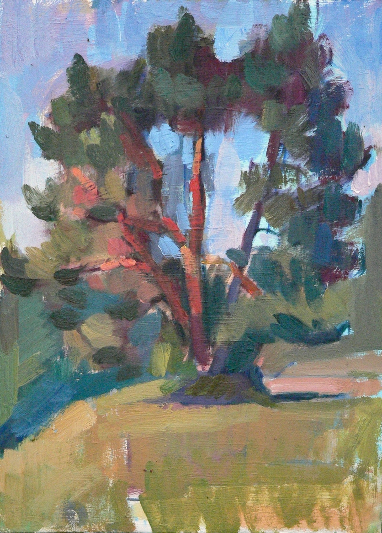 Pine, etude