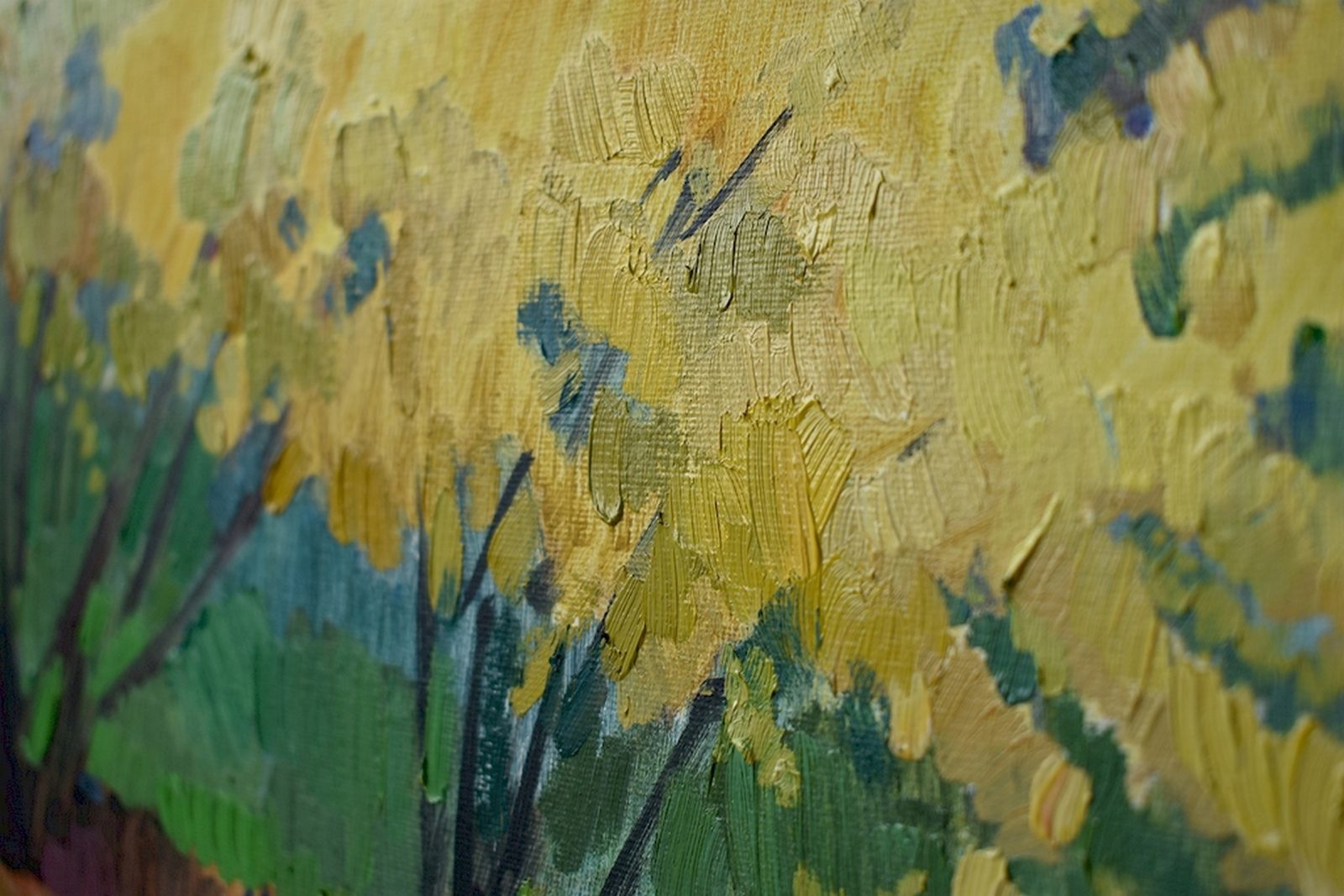 Forsythia - Image 3