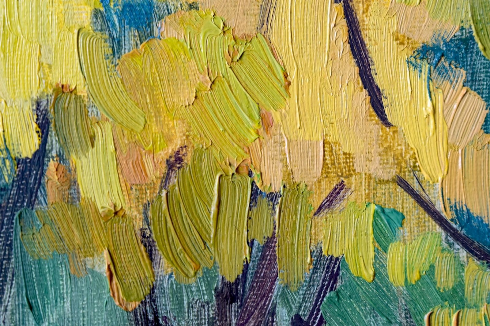 Forsythia - Image 7