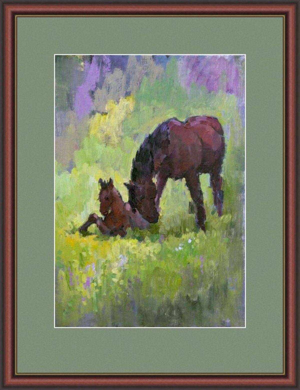 Horses, mother care - Image 13