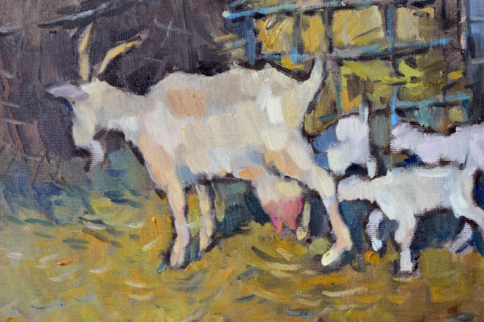 Goats - Image 6