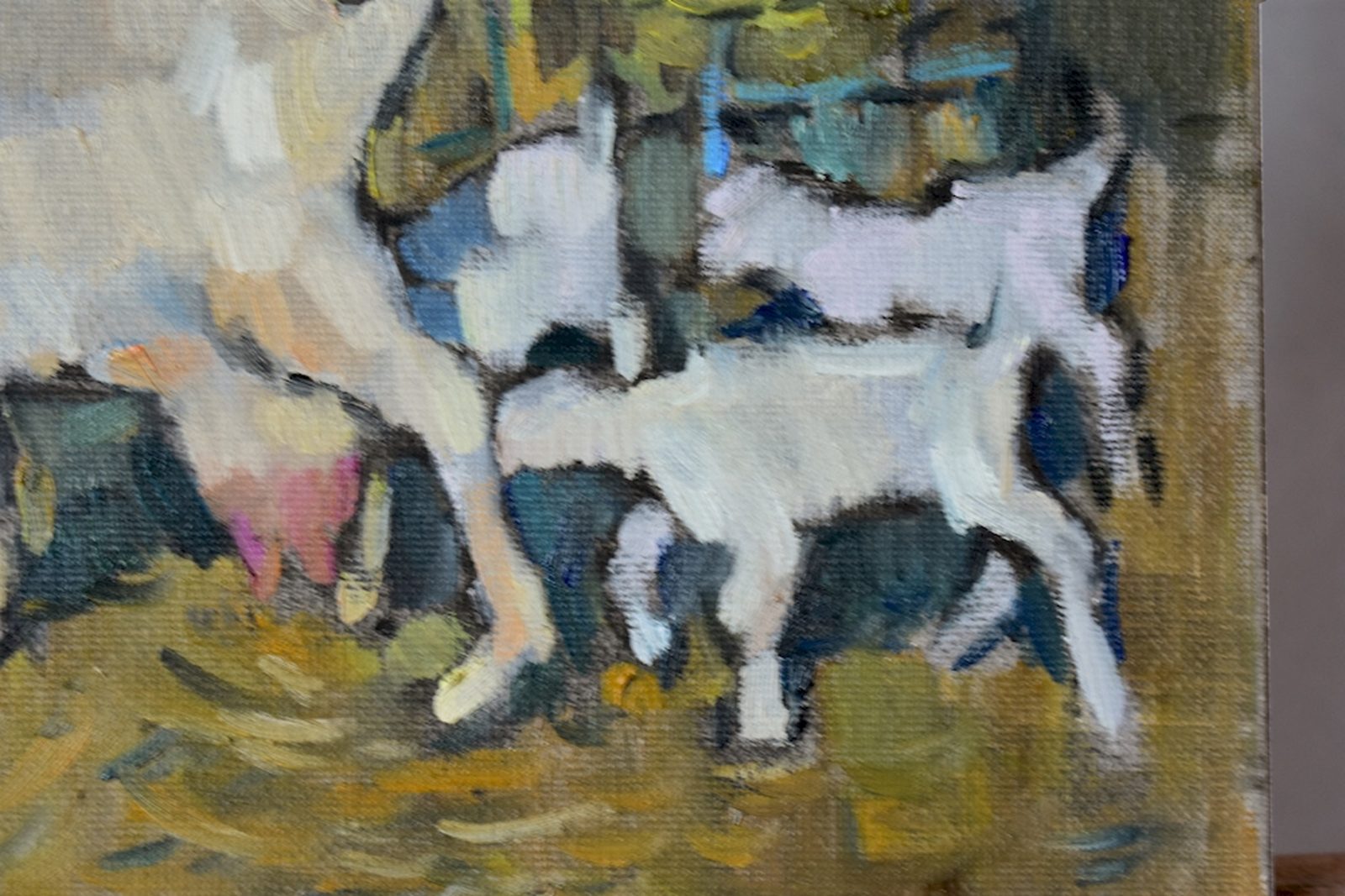 Goats - Image 7