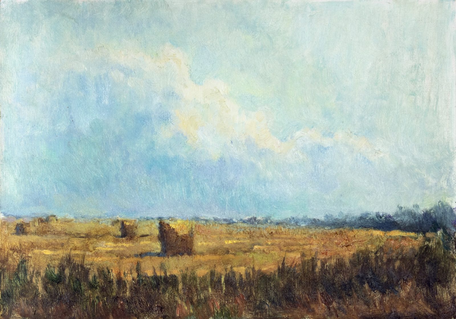 Field with Haystacks