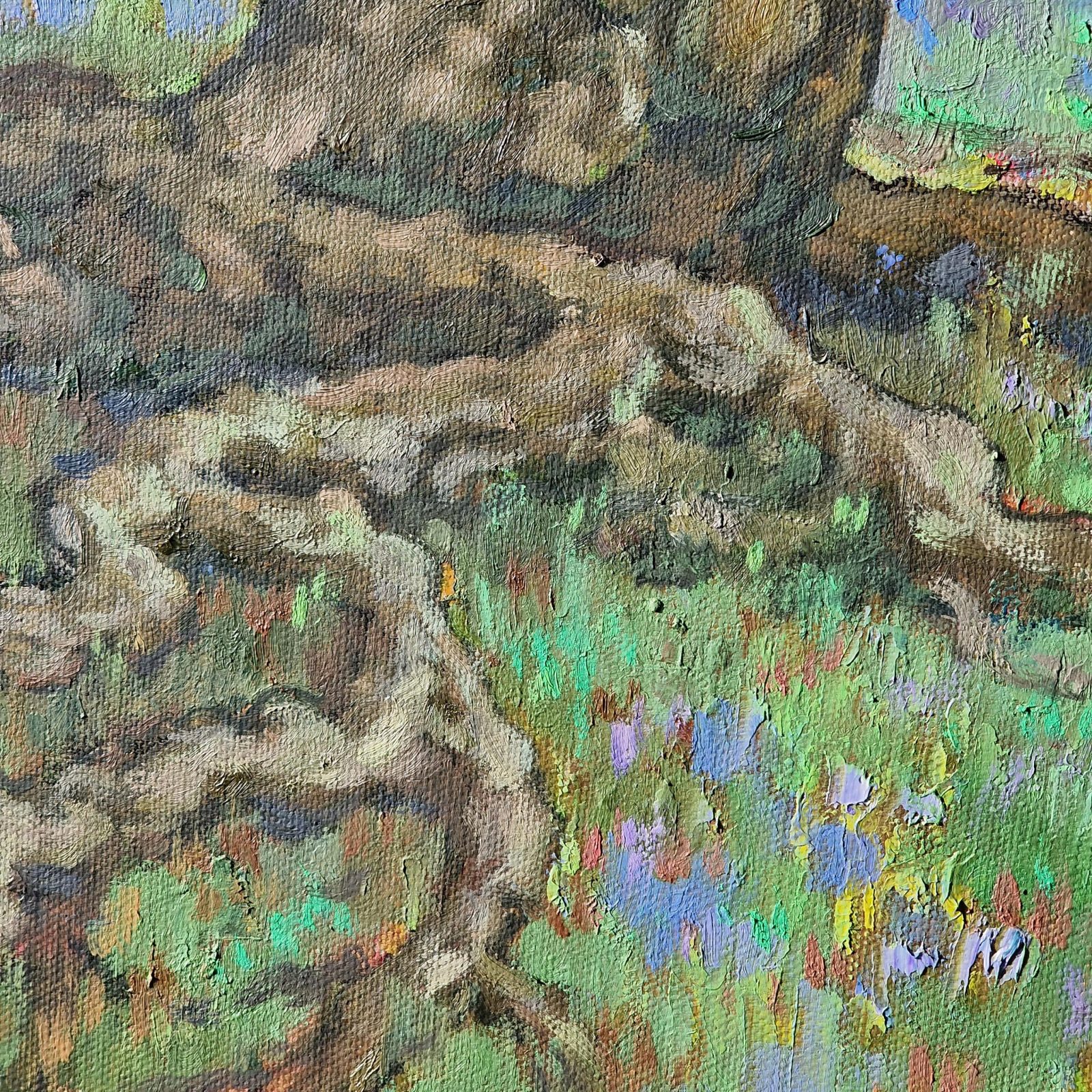 An old tree - Image 7